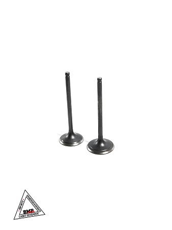 Клапаны ГРМ YX173FMN (SC300) YX300GY-C5K (Комплект 2 шт)