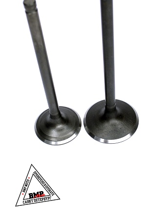 Клапаны 172FMM PR250 BMP-moto