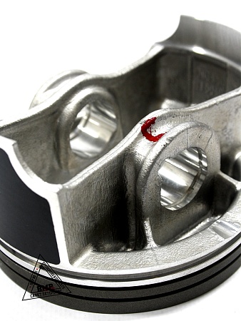 Поршень 450сс BSE ZS194MQ (100069235)