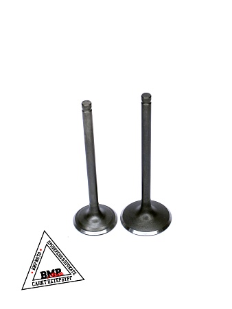 Клапаны 172FMM PR250 BMP-moto