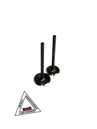 Клапаны 172FMM-5 PR250 X-TECH