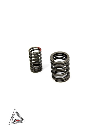 Пружины клапанов 194MQ (NC450) (компл.=2шт) ZS