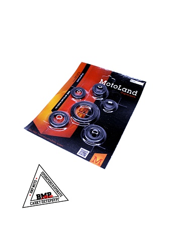 Сальник 139FMB,147FMH,152FMH 50-110см3 (полный набор)