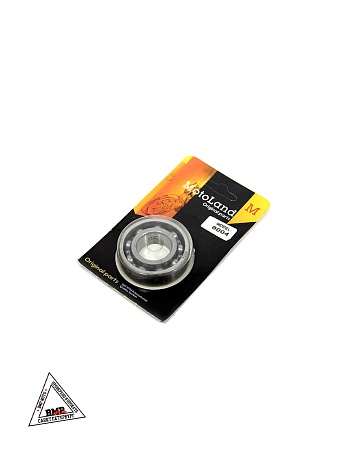 Подшипник 6004