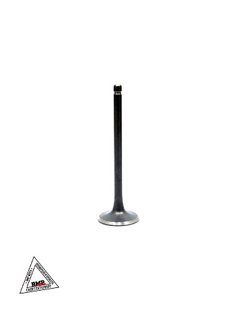 Клапаны ГРМ 169FMM (CB250) (компл=2шт)