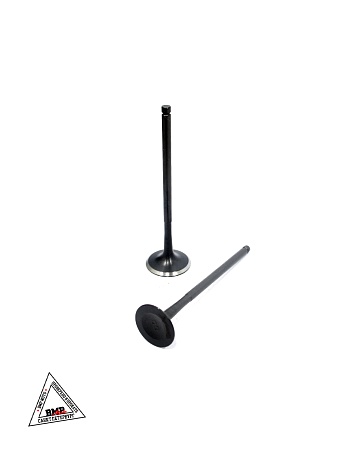 Клапаны ГРМ 174MN-3 (CBS300) X-TECH