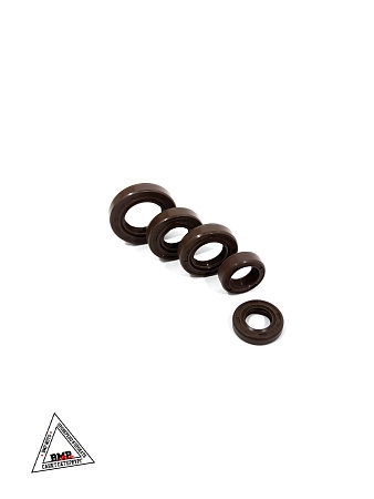 Набор сальников 174MN-3 (CBS300) ZS