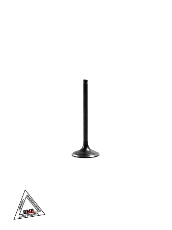 Клапаны ГРМ YX173FMN (SC300) YX300GY-C5K (Комплект 2 шт)