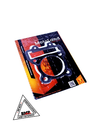 Набор прокладок ЦПГ W190 190см3 ZS