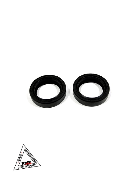 Сальники прогрессии (пара) 22x30x7 GR500