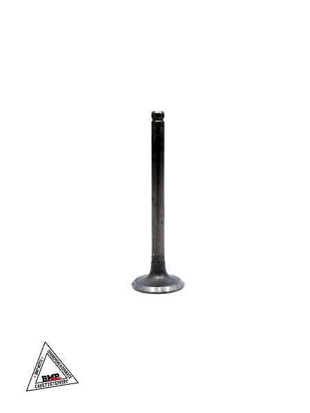 Клапаны (компл 2шт.) 153FMI 125см3