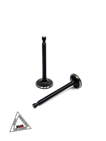 Клапаны (голые) мотоблока 177F (9Hp) "BEST" (mod.A) (D-4764)