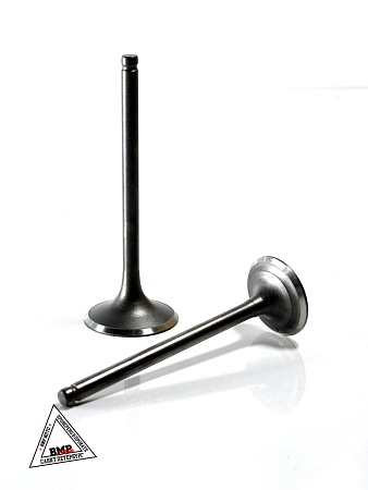 Клапаны 172FMM PR250 BMP-moto