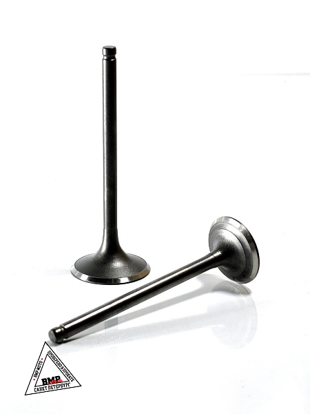 Клапаны 172FMM PR250 BMP-moto