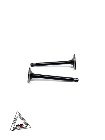 Клапаны (голые) мотоблока 177F (9Hp) "BEST" (mod.A) (D-4764)