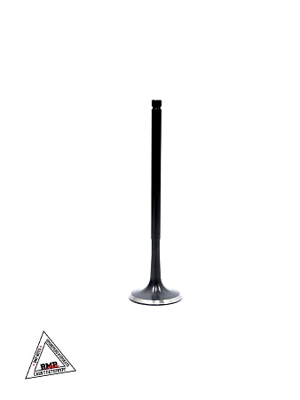 Клапаны ГРМ 174MN-3 (CBS300) X-TECH