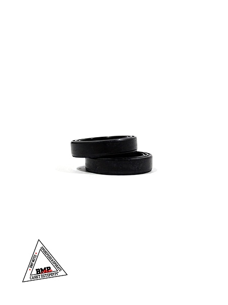 Сальники прогрессии (пара) 22x30x7 GR500