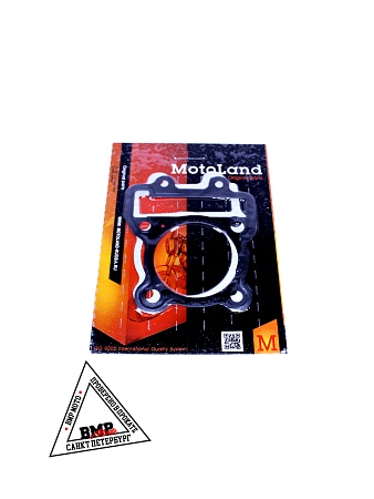 Набор прокладок ЦПГ W190 190см3 ZS