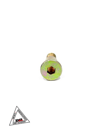 Болт крепления педали ножного тормоза WELS EVO125